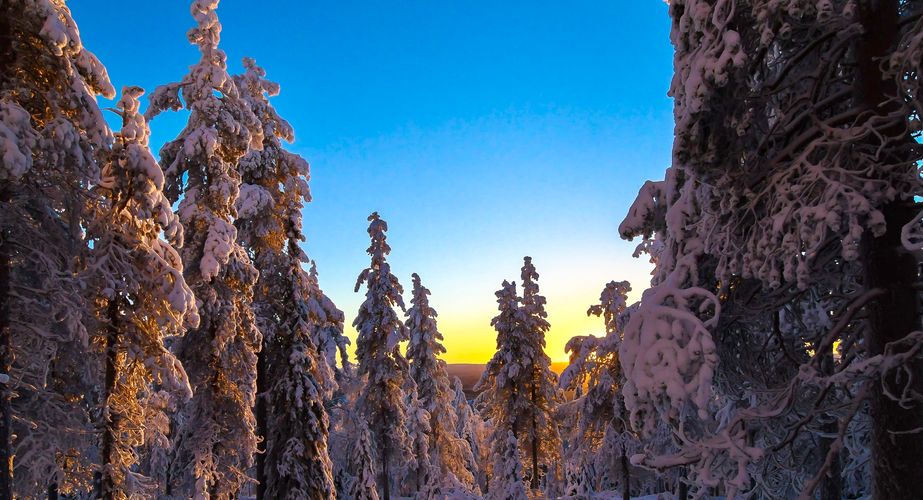 Sneeuwschoenwandelen activiteit Finse natuur